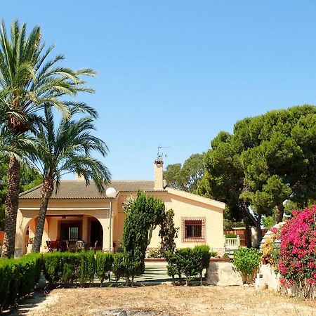 Villa Buganvilla Elche Exterior foto