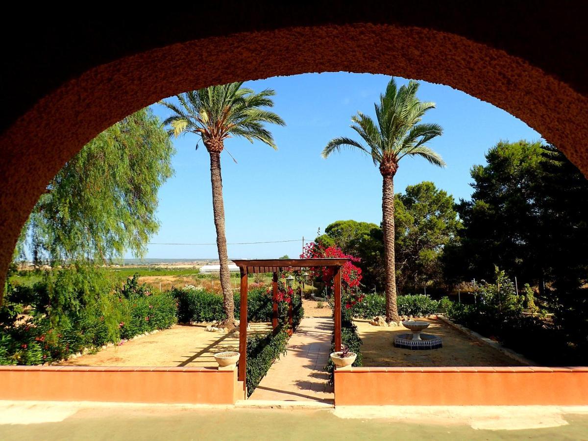 Villa Buganvilla Elche Exterior foto