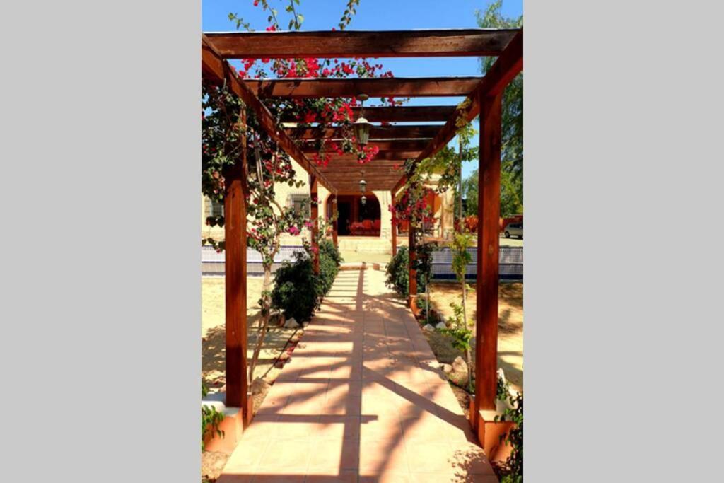 Villa Buganvilla Elche Exterior foto