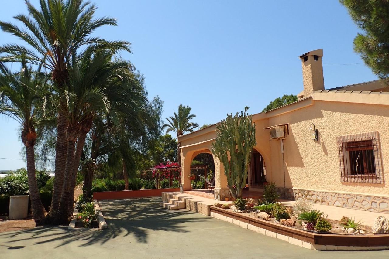 Villa Buganvilla Elche Exterior foto